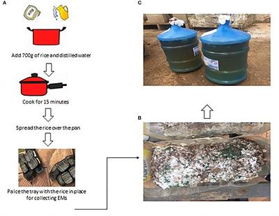 Dynamics of microbiota and physicochemical characterization of food waste in a new type of composter